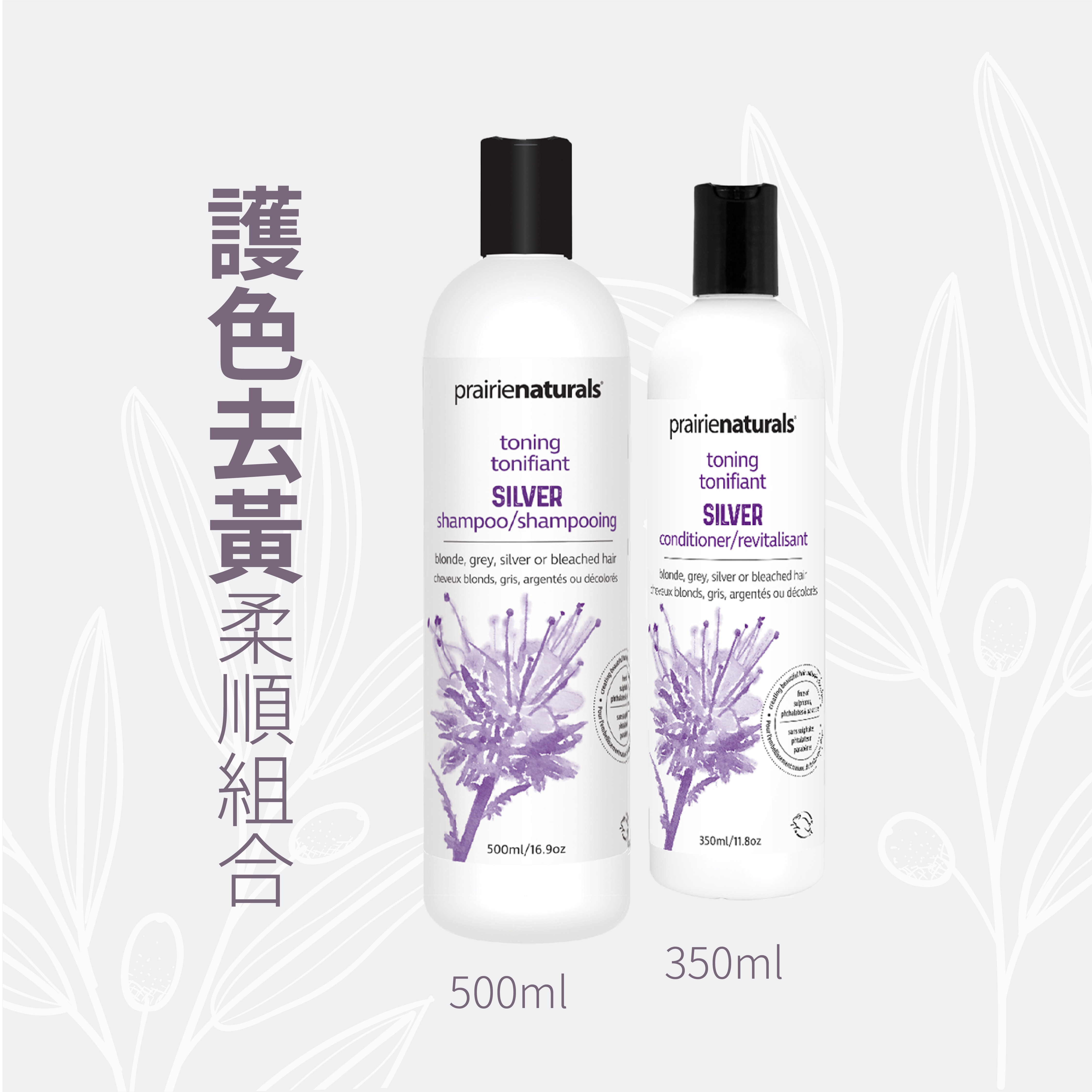 【限時優惠】Silver Toning Shampoo + Conditioner 護色去黃柔順組合