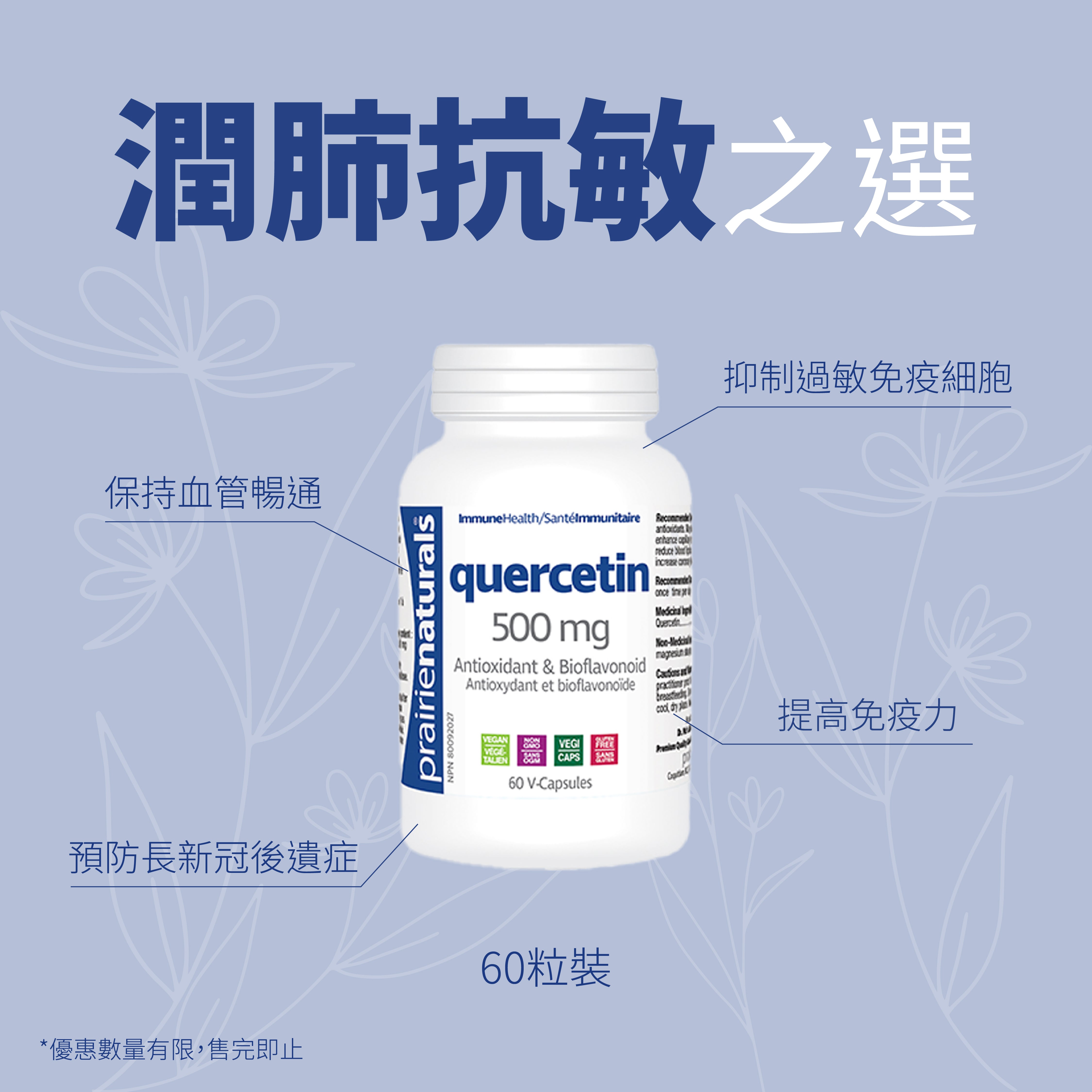 【限時優惠】Prairie Naturals Quercetin 60 V-Capsule 肺結節槲皮素60粒 (護肺，呼吸道，抗敏）